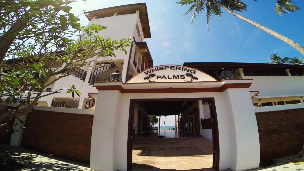 Whispering Palms 3*